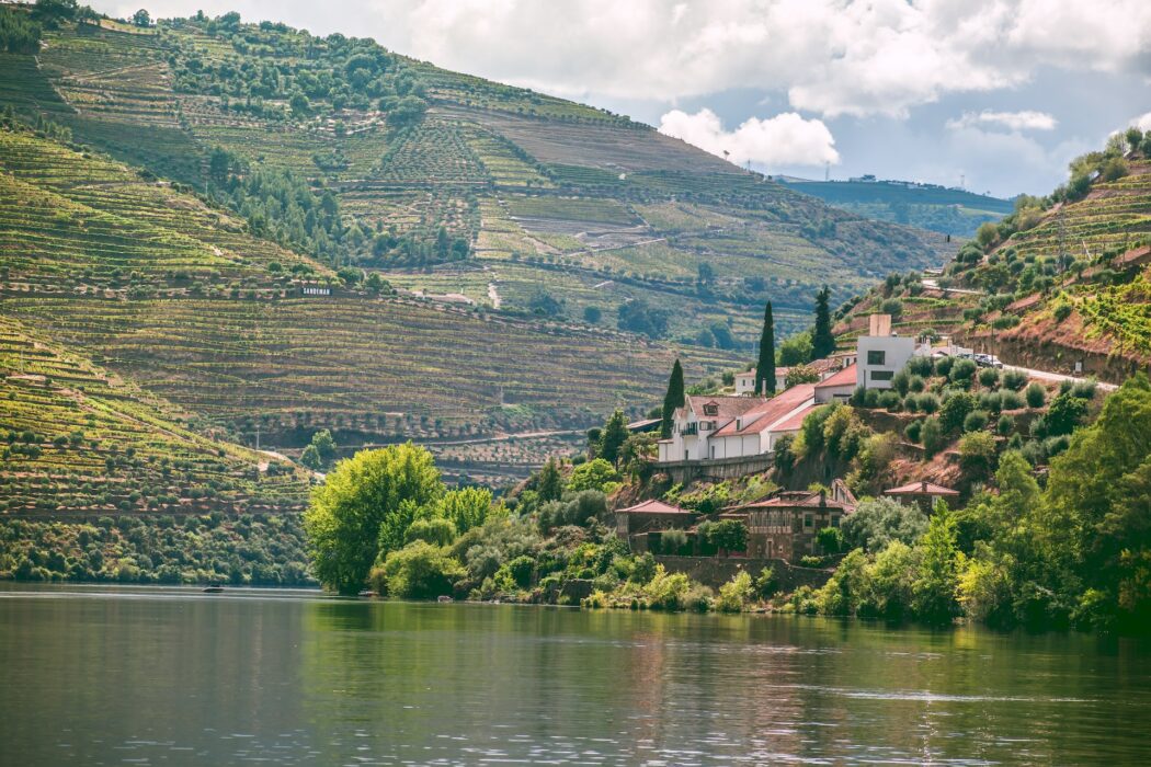 Valle Duero Vinos De Portugal
